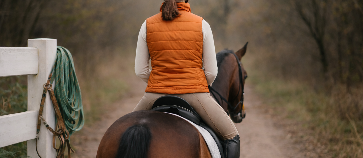 Aansprakelijkheid paard blog